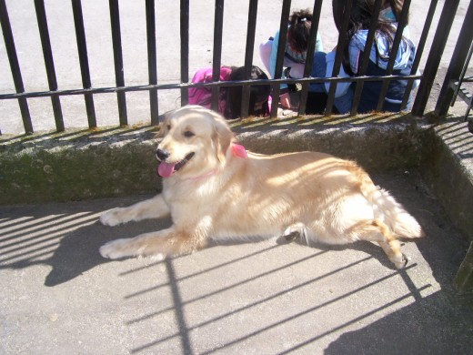 aqui tomando el sol en el ante jardin de la casa...que hermosa es mi bebe